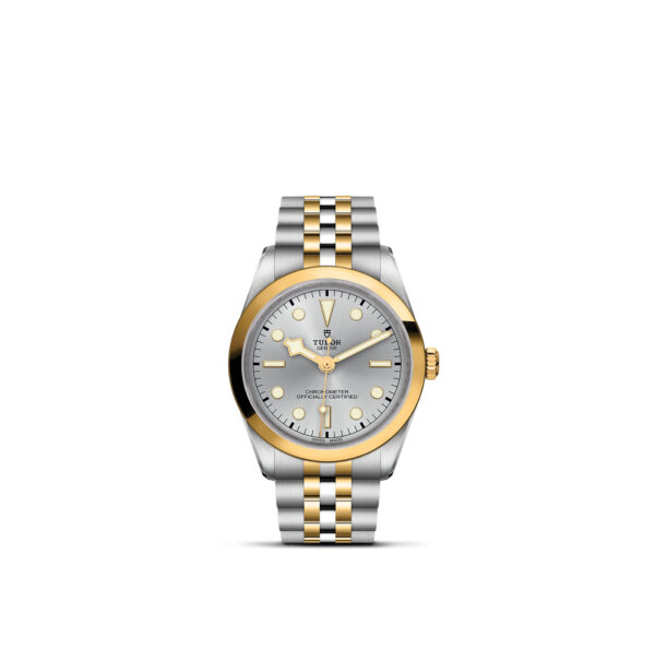 TUDOR Black Bay 36 S&G Watch with a 36mm Steel Case, Steel and Yellow Gold Brace (M79643-0002)