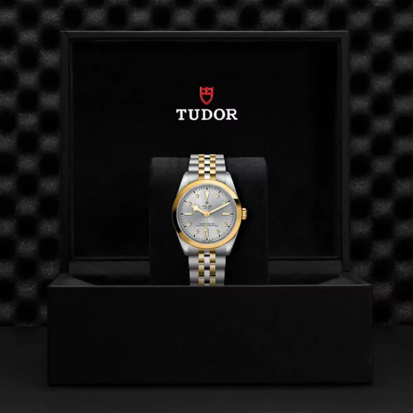 TUDOR Black Bay 36 S&G 36mm steel case with polished and satin finish - M79643-0007 at Underwood Jewelers