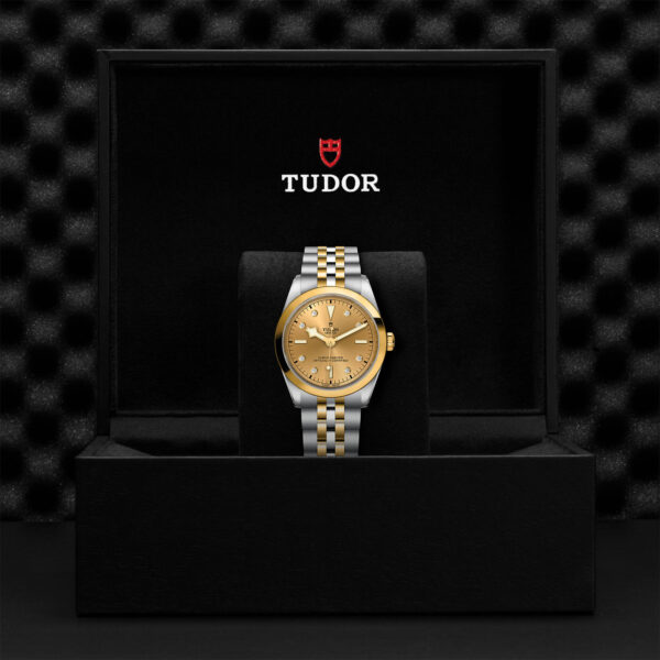 TUDOR Black Bay 36 S&G Watch with a 36mm Steel Case, Steel and Yellow Gold Bracelet (M79643-0008) Black Presentation Box