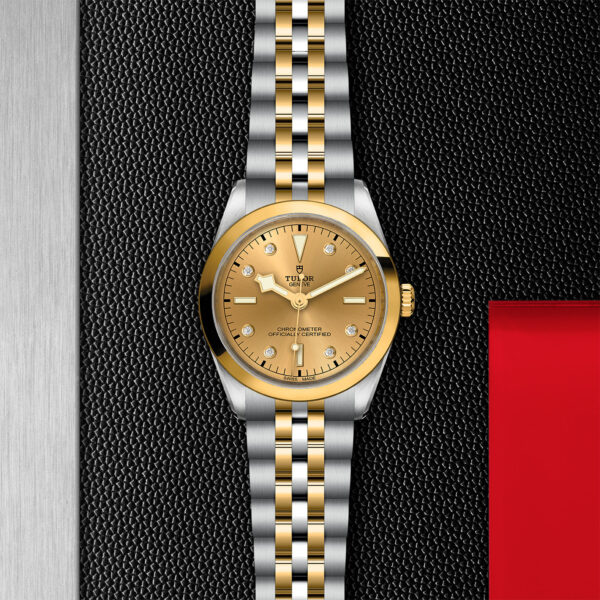 TUDOR Black Bay 36 S&G Watch with a 36mm Steel Case, Steel and Yellow Gold Bracelet (M79643-0008) Flat lay on black and red background