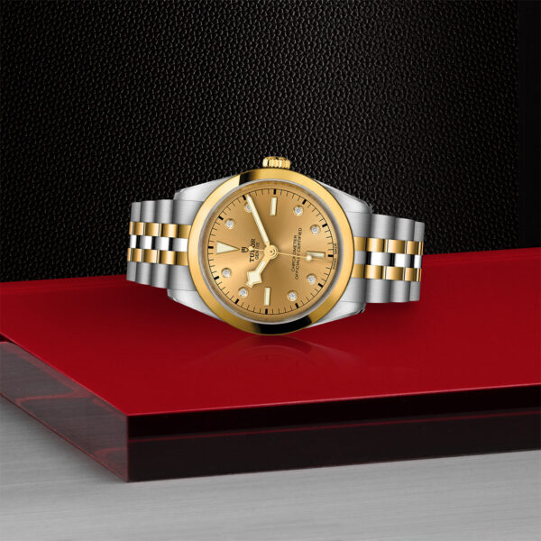 TUDOR Black Bay 36 S&G Watch with a 36mm Steel Case, Steel and Yellow Gold Bracelet (M79643-0008) Laying Down on Red Tray