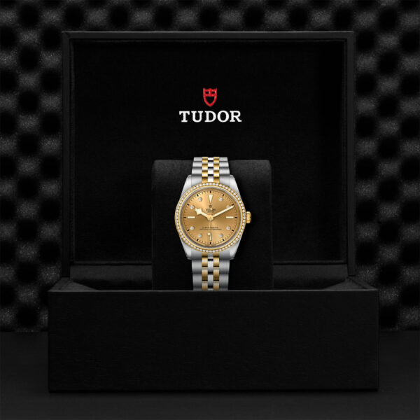 TUDOR Black Bay Pro Watch with a 36mm Steel Case, Steel and Yellow Gold Bracelet (M79653-0007) Black Presentation Box