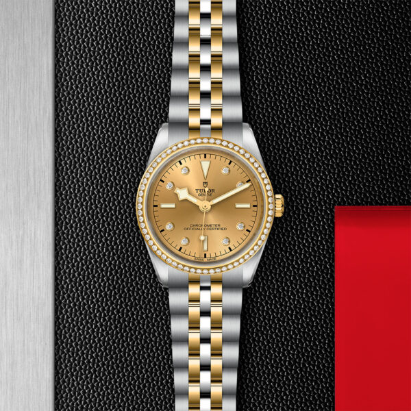 TUDOR Black Bay Pro Watch with a 36mm Steel Case, Steel and Yellow Gold Bracelet (M79653-0007) Flat lay on black and red background