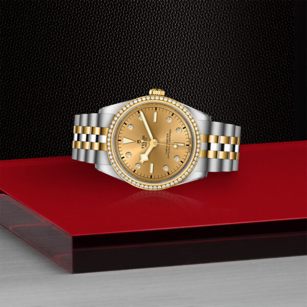 TUDOR Black Bay Pro Watch with a 36mm Steel Case, Steel and Yellow Gold Bracelet (M79653-0007) Laying Down on Red Tray