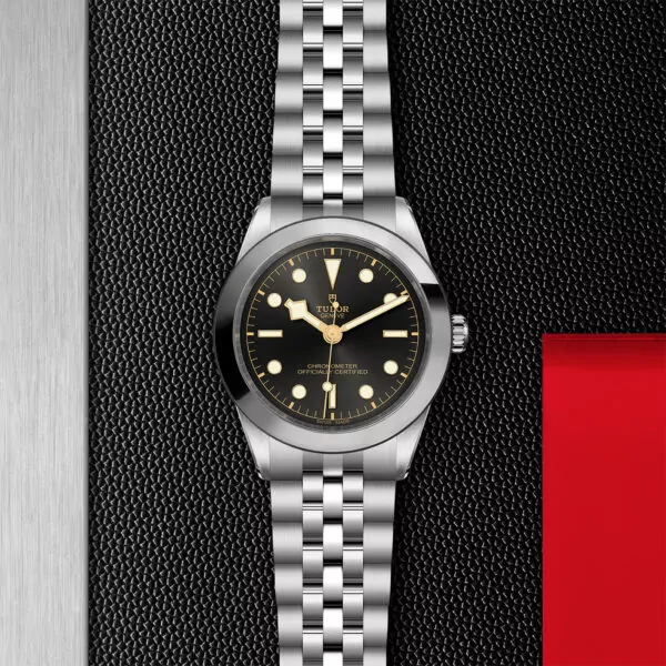 TUDOR Black Bay 39 39mm stainless steel case with polished and satin finish - M79660-0001 at Underwood Jewelers