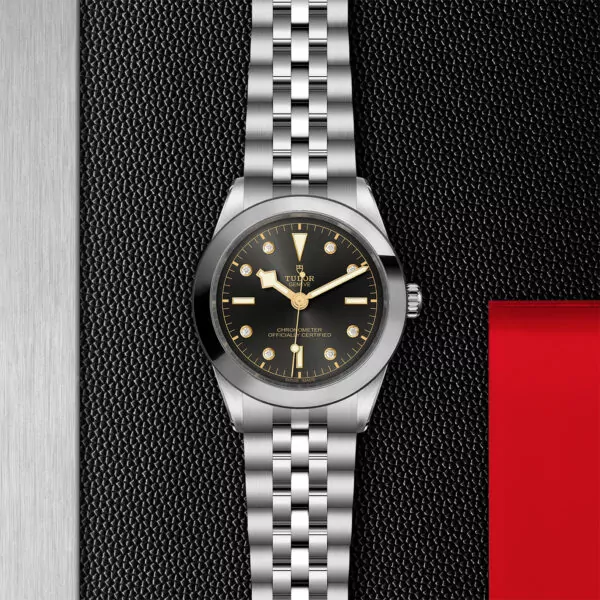 TUDOR Black Bay 39 39mm stainless steel case with polished and satin finish - M79660-0004 at Underwood Jewelers
