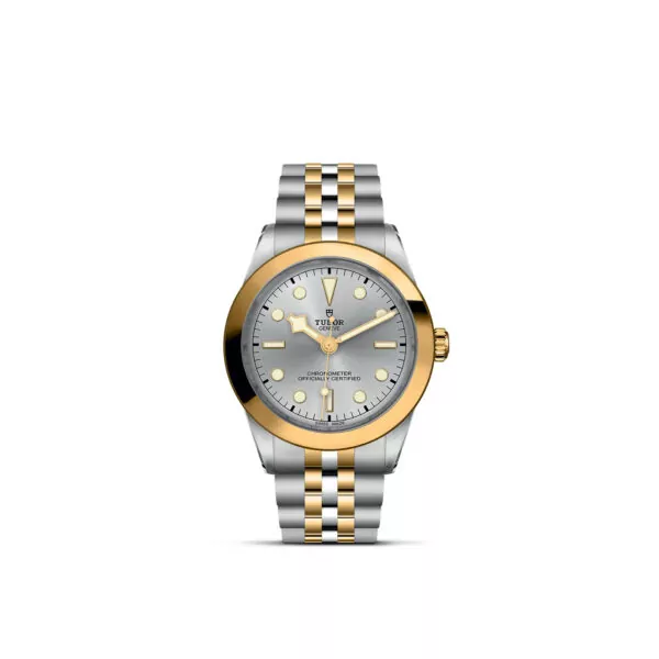 TUDOR Black Bay 36 S&G Watch with a 39mm Steel Case, Steel and Yellow Gold Brace (M79663-0002)