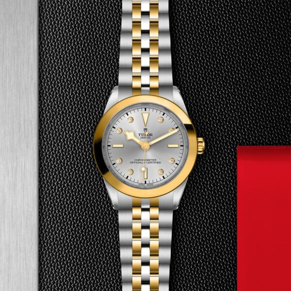 TUDOR Black Bay 39 S&G 39mm steel case with polished and satin finish - M79663-0007 at Underwood Jewelers