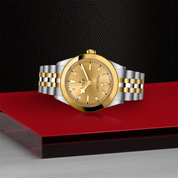 TUDOR Black Bay 39 S&G 39mm steel case with polished and satin finish - M79663-0008 at Underwood Jewelers