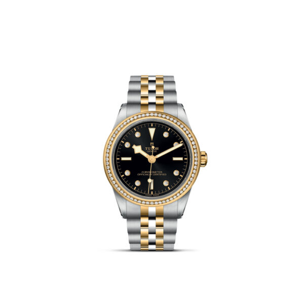 TUDOR Black Bay 39 S&G 39mm steel case with polished and satin finish - M79673-0005 at Underwood Jewelers