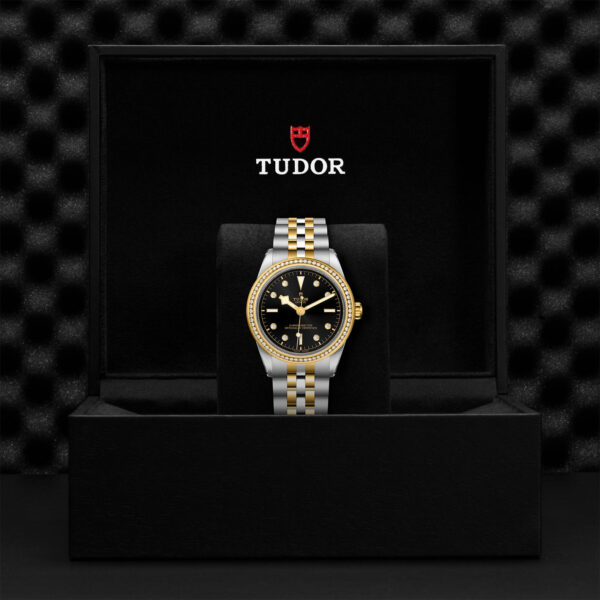 TUDOR Black Bay 39 S&G 39mm steel case with polished and satin finish - M79673-0005 at Underwood Jewelers