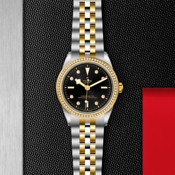 TUDOR Black Bay 39 S&G 39mm steel case with polished and satin finish - M79673-0005 at Underwood Jewelers