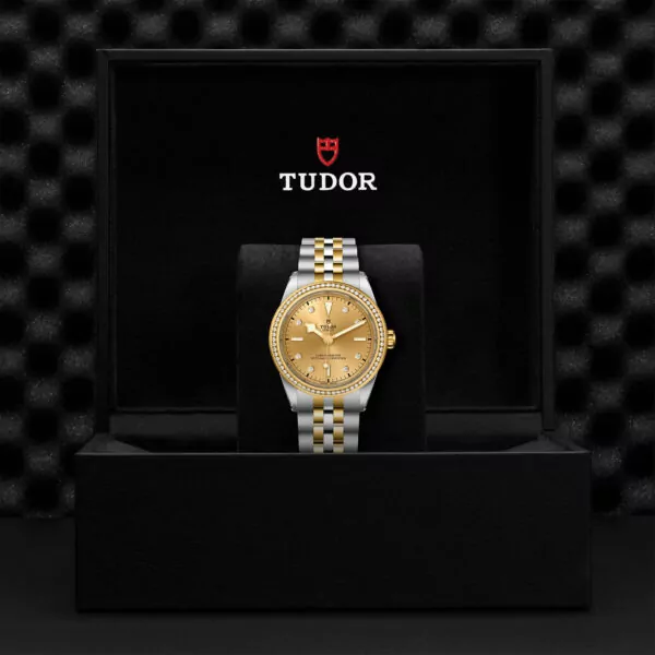TUDOR Black Bay 39 S&G 39mm steel case with polished and satin finish - M79673-0007 at Underwood Jewelers