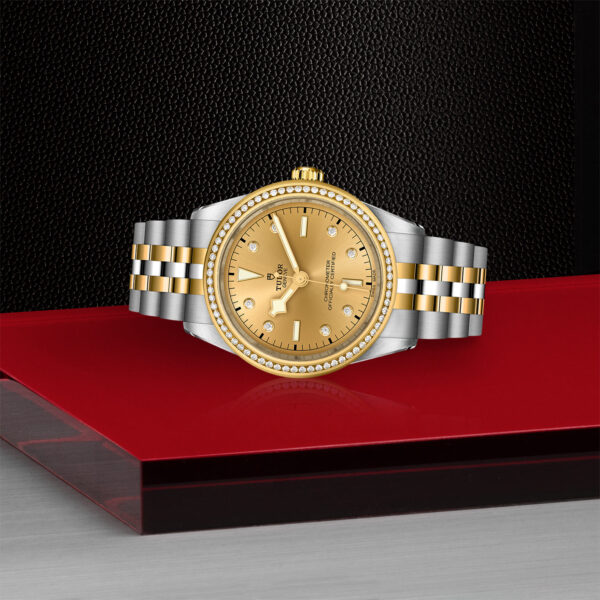 TUDOR Black Bay 39 S&G 39mm steel case with polished and satin finish - M79673-0007 at Underwood Jewelers