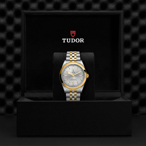 TUDOR Black Bay Pro Watch with a 41mm Steel Case, Steel and Yellow Gold Bracelet (M79683-0007) Black Presentation Box