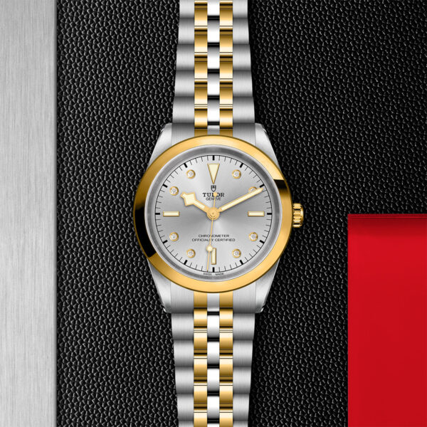 TUDOR Black Bay Pro Watch with a 41mm Steel Case, Steel and Yellow Gold Bracelet (M79683-0007) Flat lay on black and red background