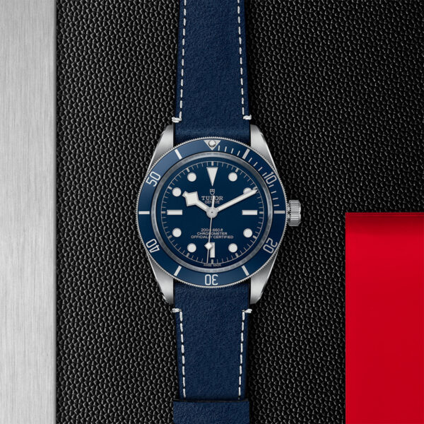 TUDOR Black Bay 58 39mm steel case with polished and satin finish - M79030B-0002 at Underwood Jewelers