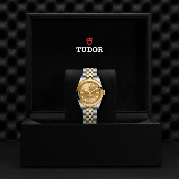 TUDOR Black Bay 31 S&G 31mm 316L steel case with polished and satin finish - M79603-0005 at Underwood Jewelers