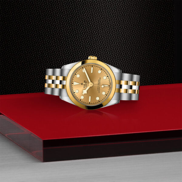 TUDOR Black Bay 31 S&G 31mm 316L steel case with polished and satin finish - M79603-0005 at Underwood Jewelers