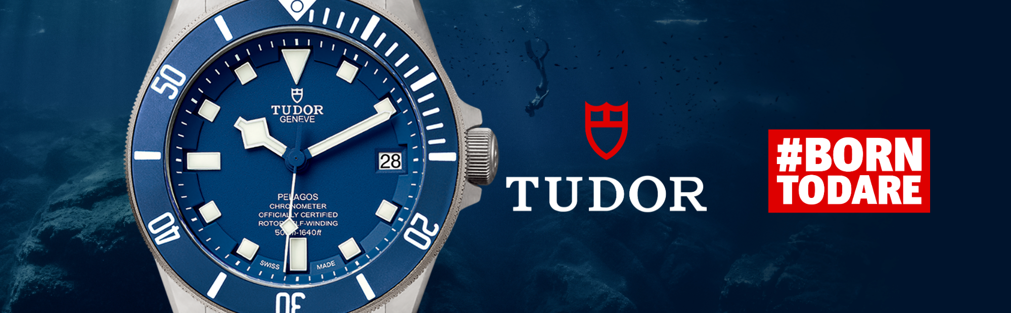 June Tudor Banner Desktop 2023