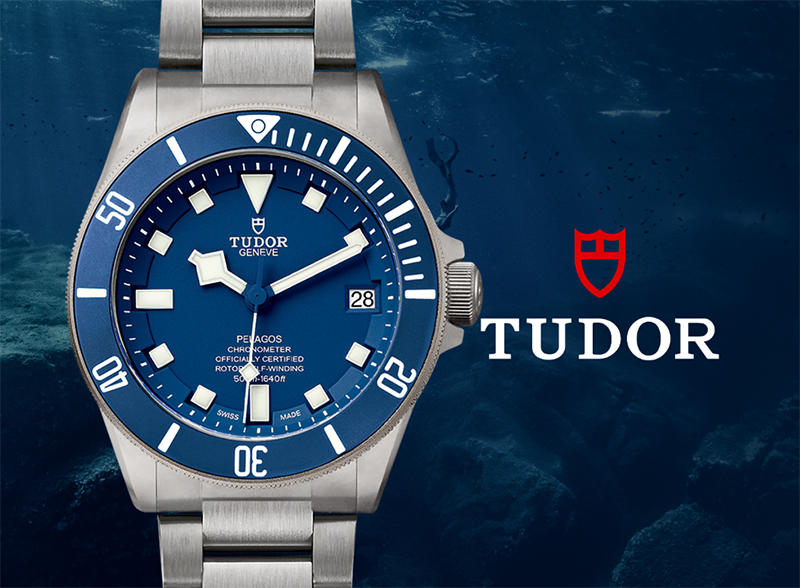 June Tudor Banner Mobile 2023