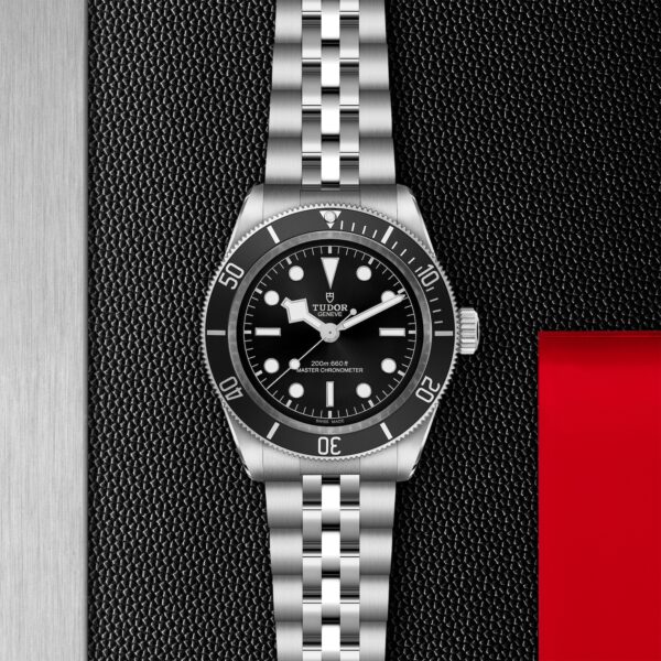 TUDOR Black Bay 41mm steel case with polished and satin finish - M7941A1A0NU-0003 at Underwood Jewelers