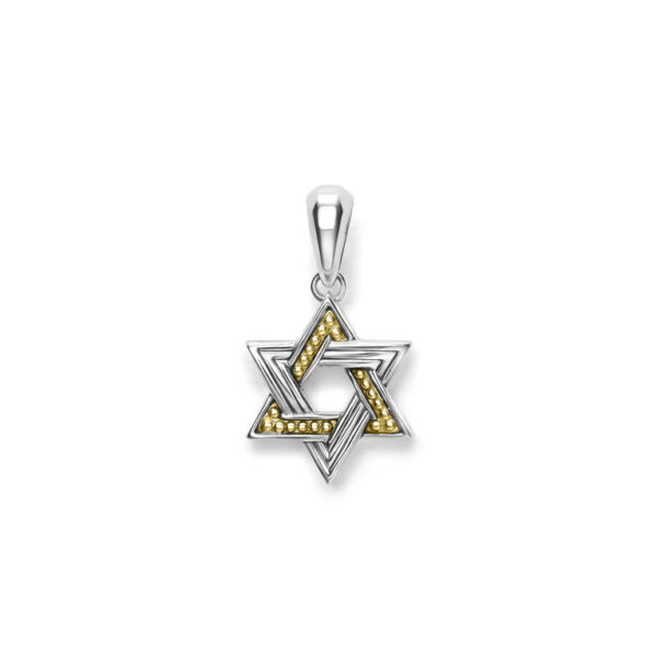 Small Two-Tone Star of David Amulet