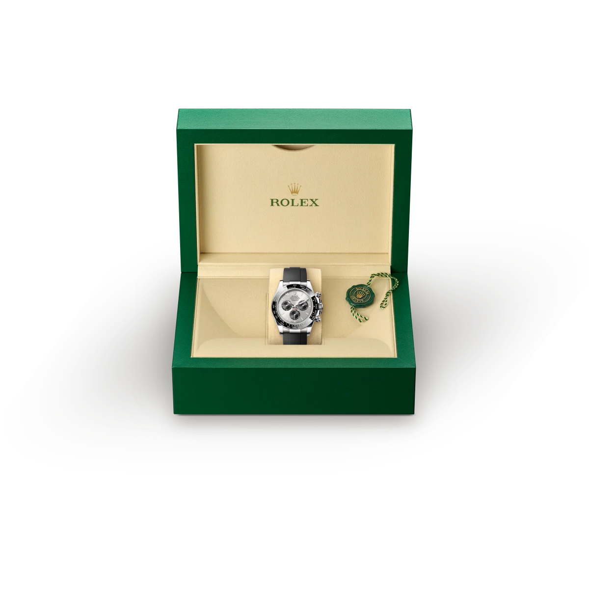 Rolex Cosmograph Daytona in 18 kt white gold, M126519LN-0006 - Underwood Jewelers