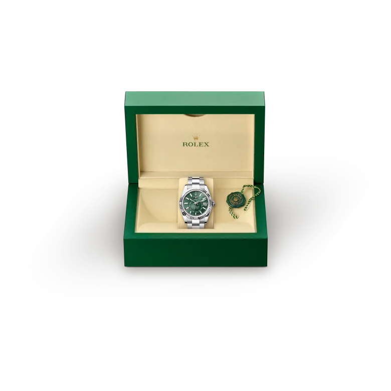 Rolex Sky-Dweller in White Rolesor - combination of Oystersteel and white gold, M336934-0001 - Underwood Jewelers