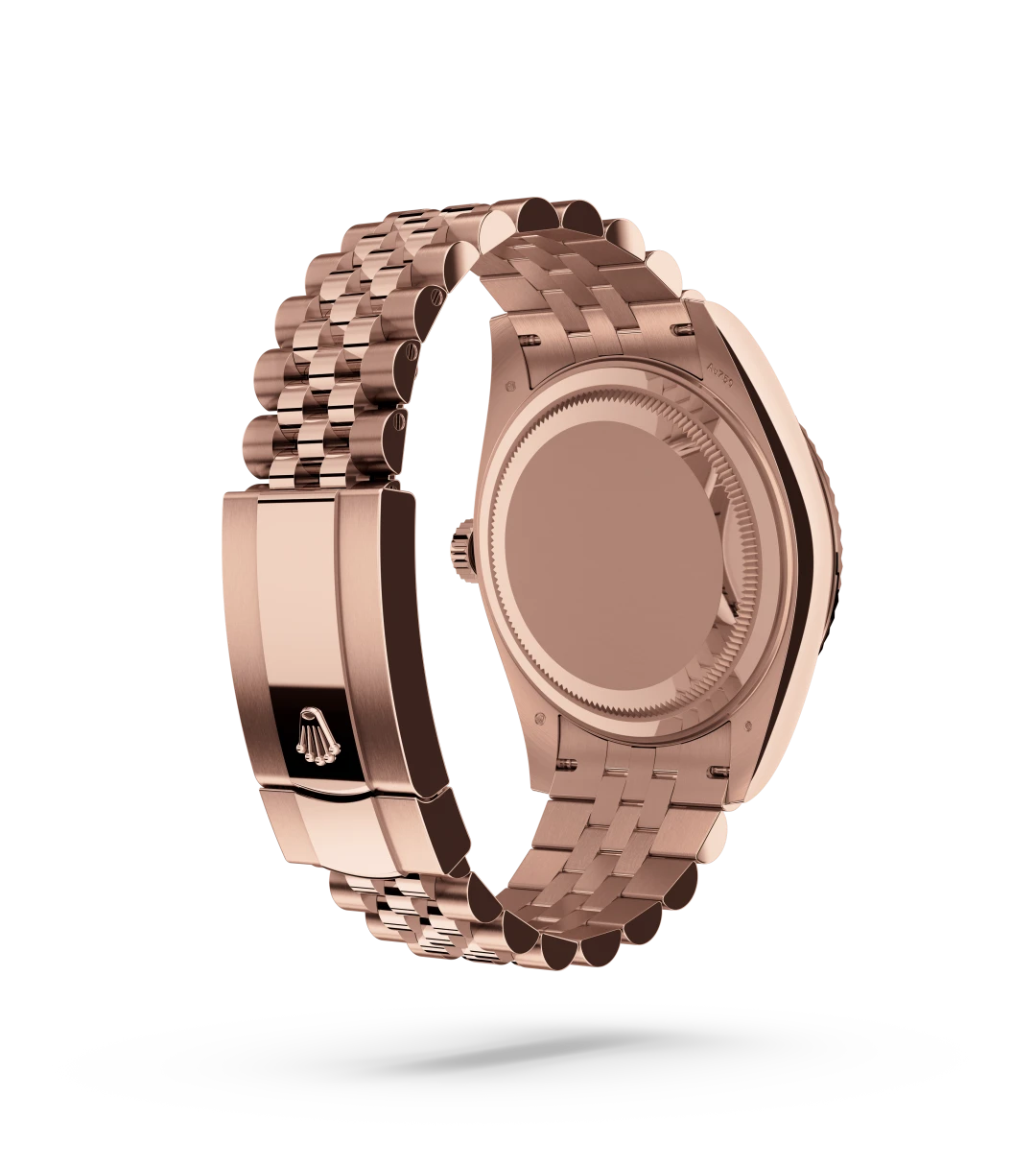 Rolex Sky-Dweller in 18 kt Everose gold, M336935-0008 - Underwood Jewelers