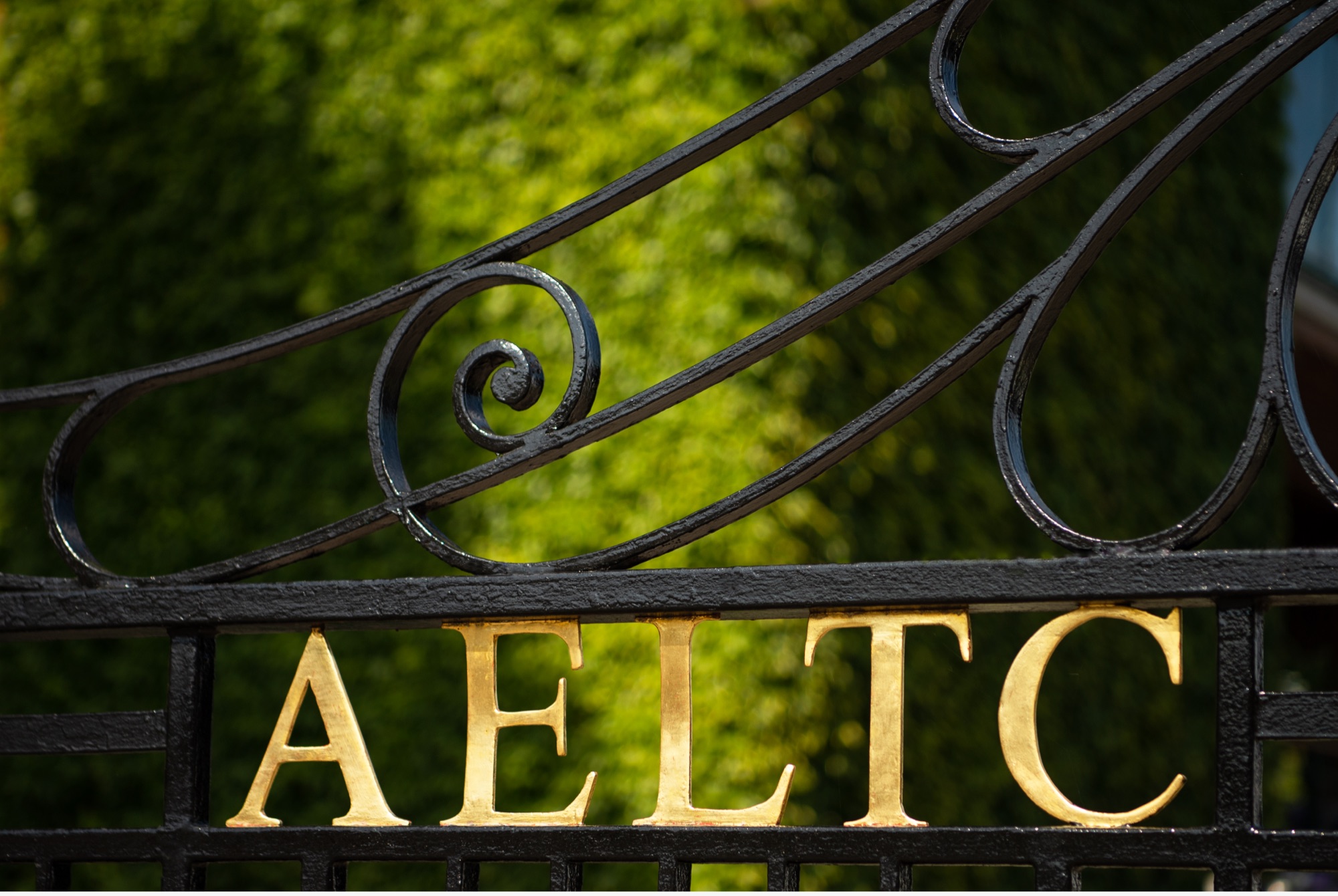 Rolex and The Championships, Wimbledon - Underwood Jewelers