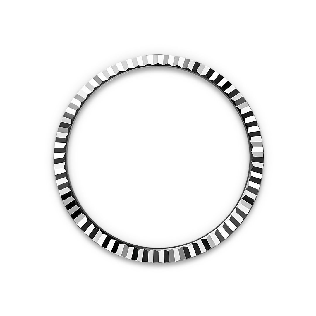 rolex Land-Dweller in White Rolesor - combination of Oystersteel and white gold, M127334-0001 - Underwood Jewelers