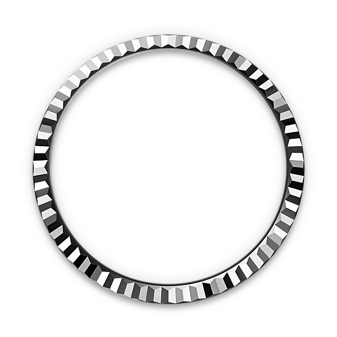 rolex Land-Dweller in White Rolesor - combination of Oystersteel and white gold, M127234-0001 - Underwood Jewelers