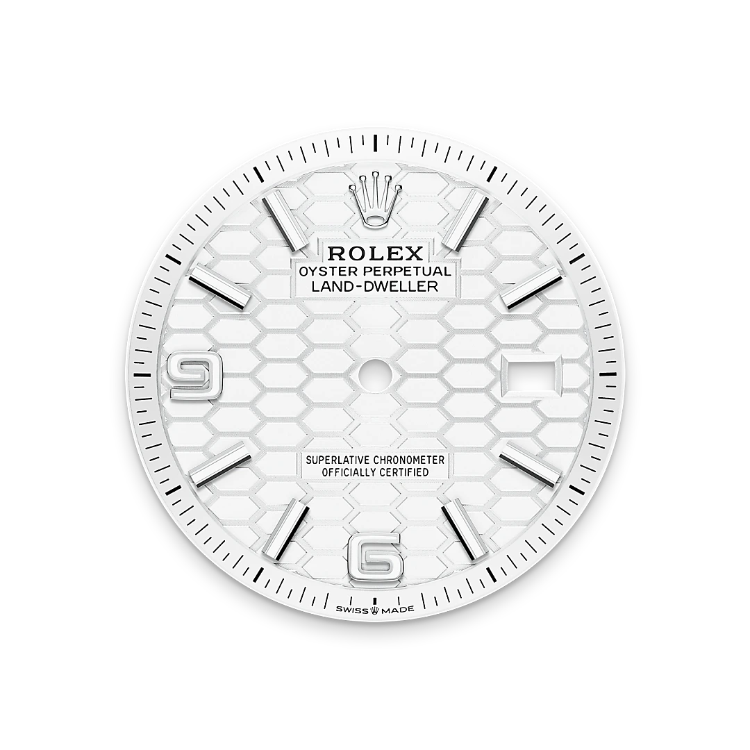 rolex Land-Dweller in White Rolesor - combination of Oystersteel and white gold, M127234-0001 - Underwood Jewelers