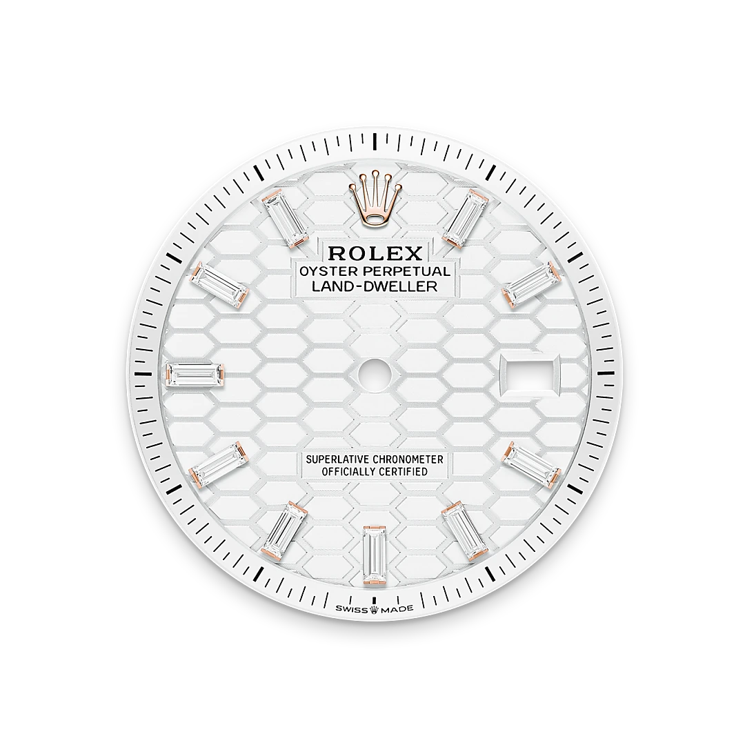 rolex Land-Dweller in 18 kt Everose gold, M127285TBR-0002 - underwood jewelers