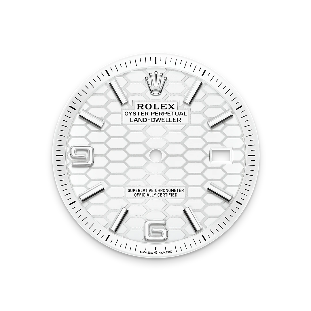 rolex Land-Dweller in White Rolesor - combination of Oystersteel and white gold, M127334-0001 - underwood jewelers
