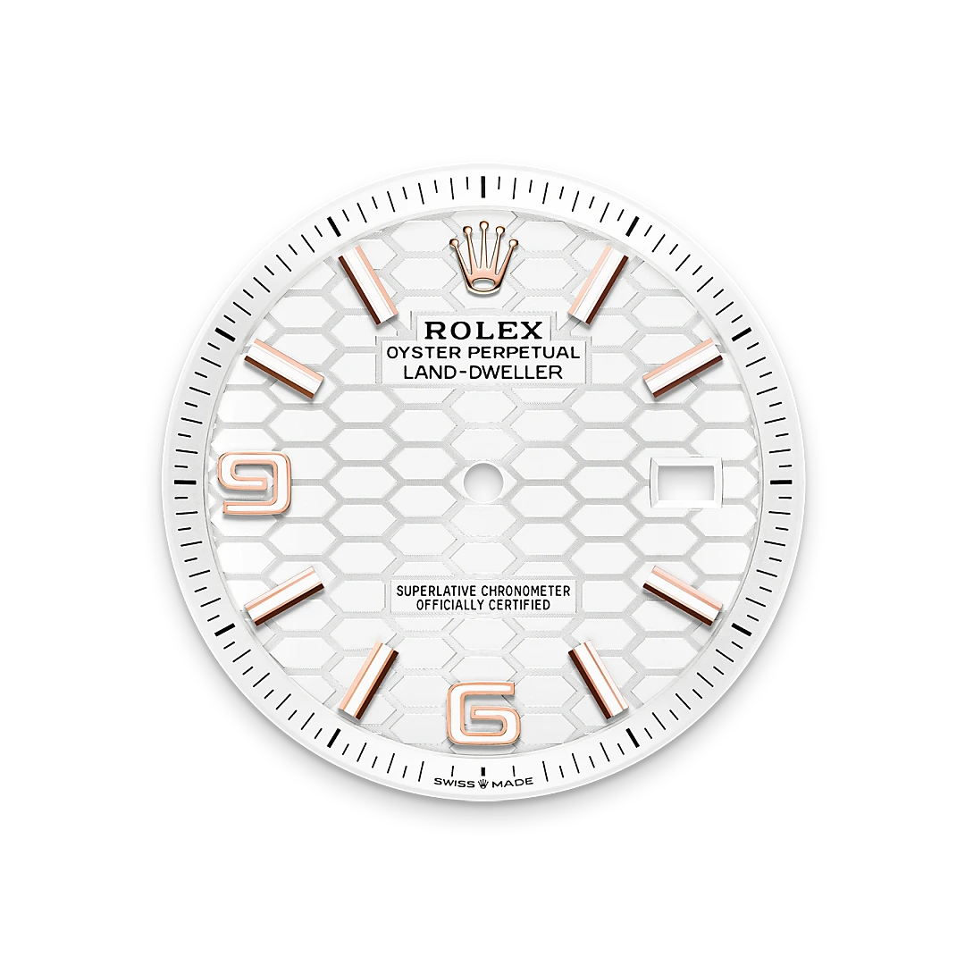 rolex Land-Dweller in 18 kt Everose gold, M127335-0001 - underwood jewelers