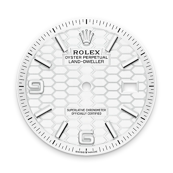 rolex Land-Dweller in White Rolesor - combination of Oystersteel and white gold, M127234-0001 - underwood jewelers
