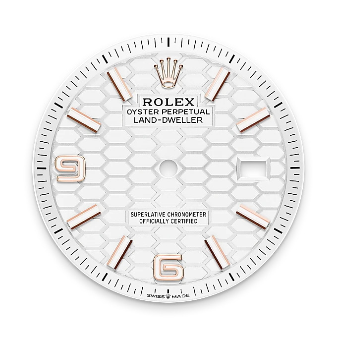 rolex Land-Dweller in 18 kt Everose gold, M127235-0001 - underwood jewelers