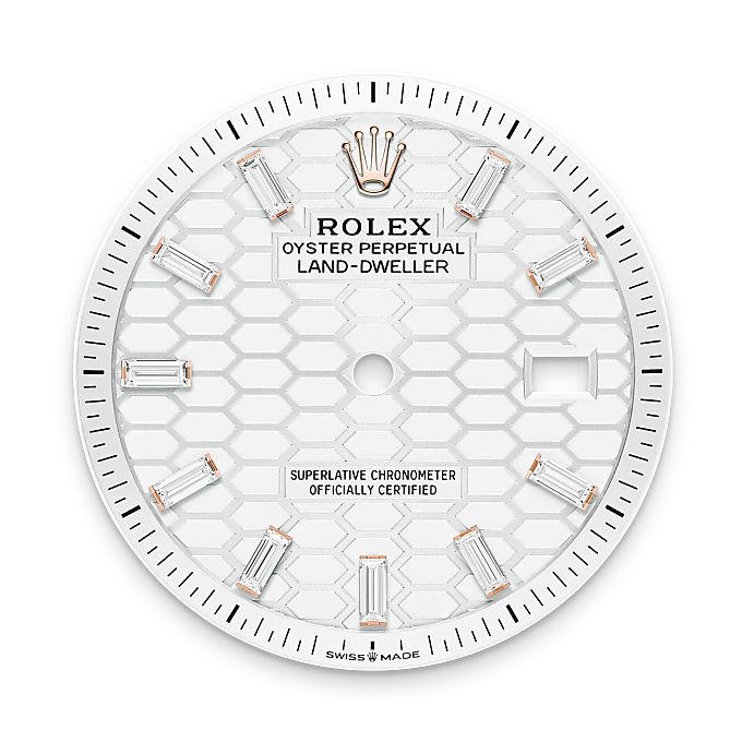 rolex Land-Dweller in 18 kt Everose gold, M127285TBR-0002 - underwood jewelers