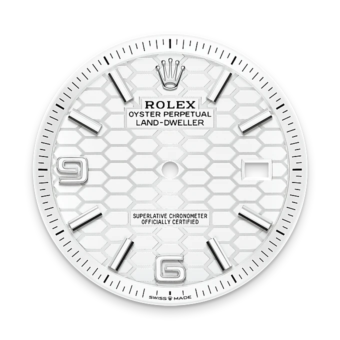 rolex Land-Dweller in White Rolesor - combination of Oystersteel and white gold, M127334-0001 - Underwood Jewelers