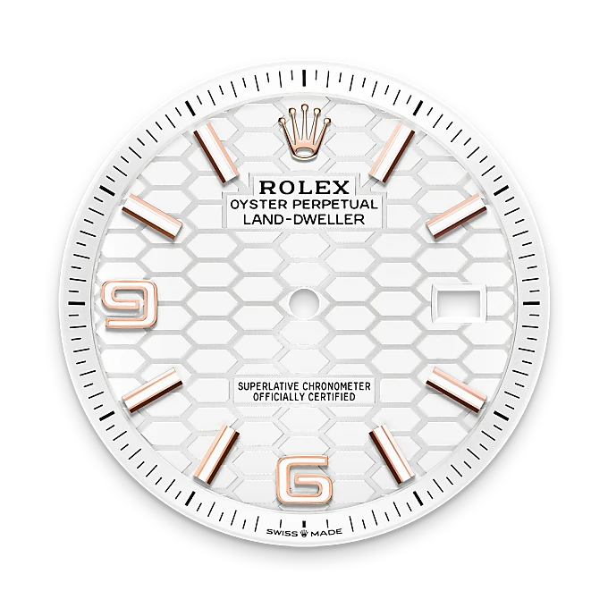 rolex Land-Dweller in 18 kt Everose gold, M127335-0001 - underwood jewelers