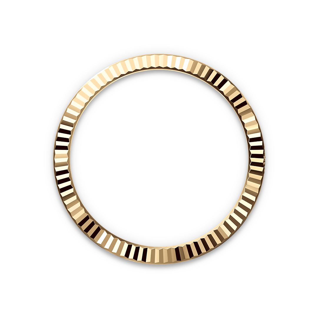 rolex Datejust in Yellow Rolesor - combination of Oystersteel and yellow gold, M126333-0019 - underwood jewelers