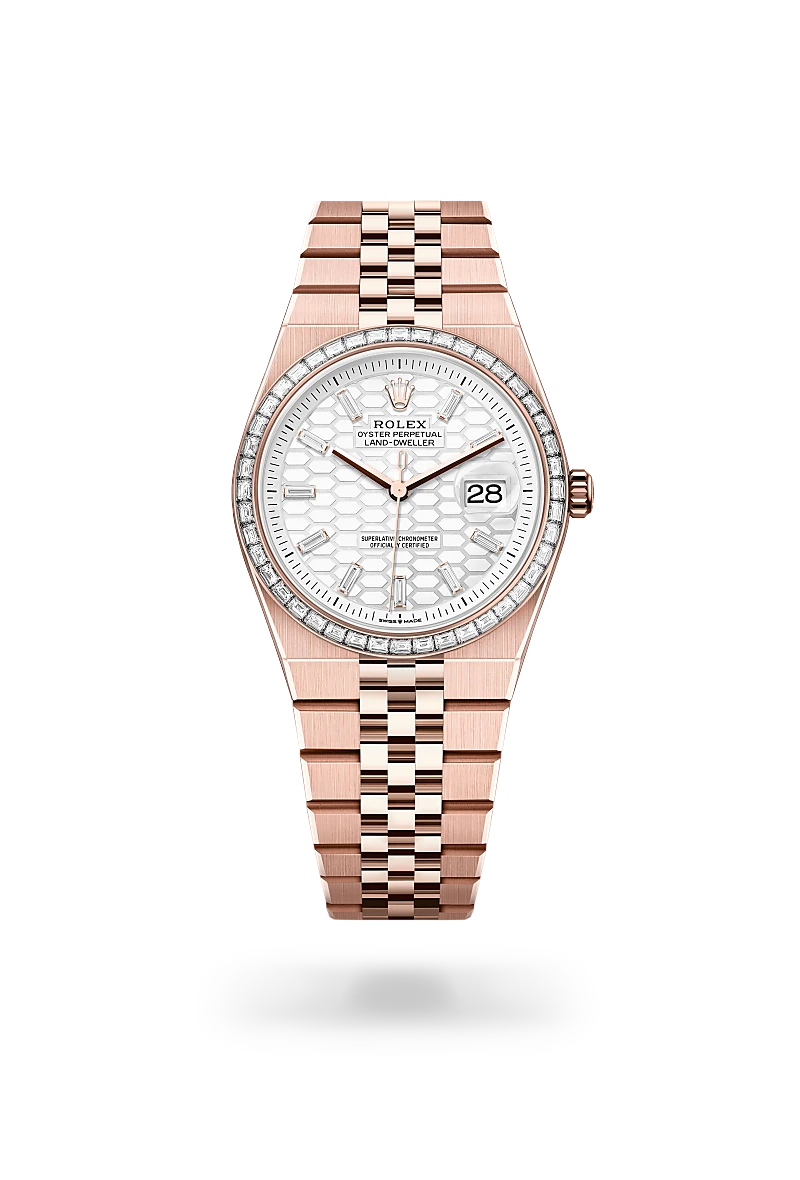 rolex Land-Dweller in 18 kt Everose gold, M127285TBR-0002 - Underwood jewelers