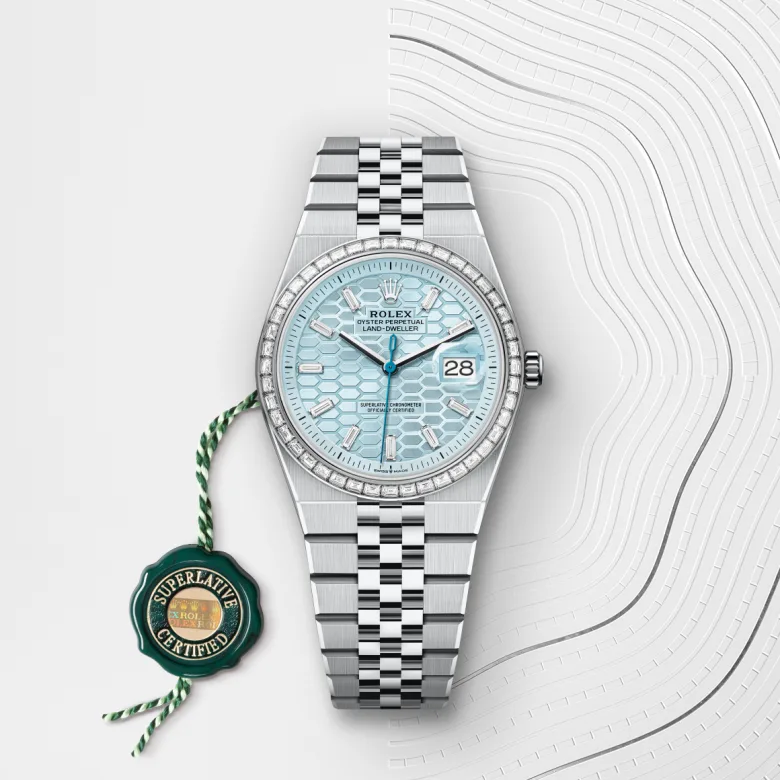 rolex Land-Dweller in Platinum, M127286TBR-0001 - Underwood jewelers