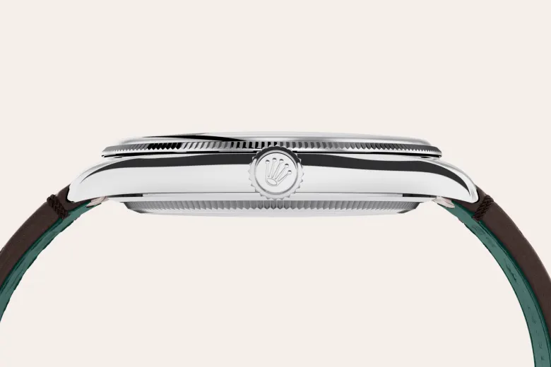 rolex 1908 in Platinum, M52506-0002 - Underwood jewelers