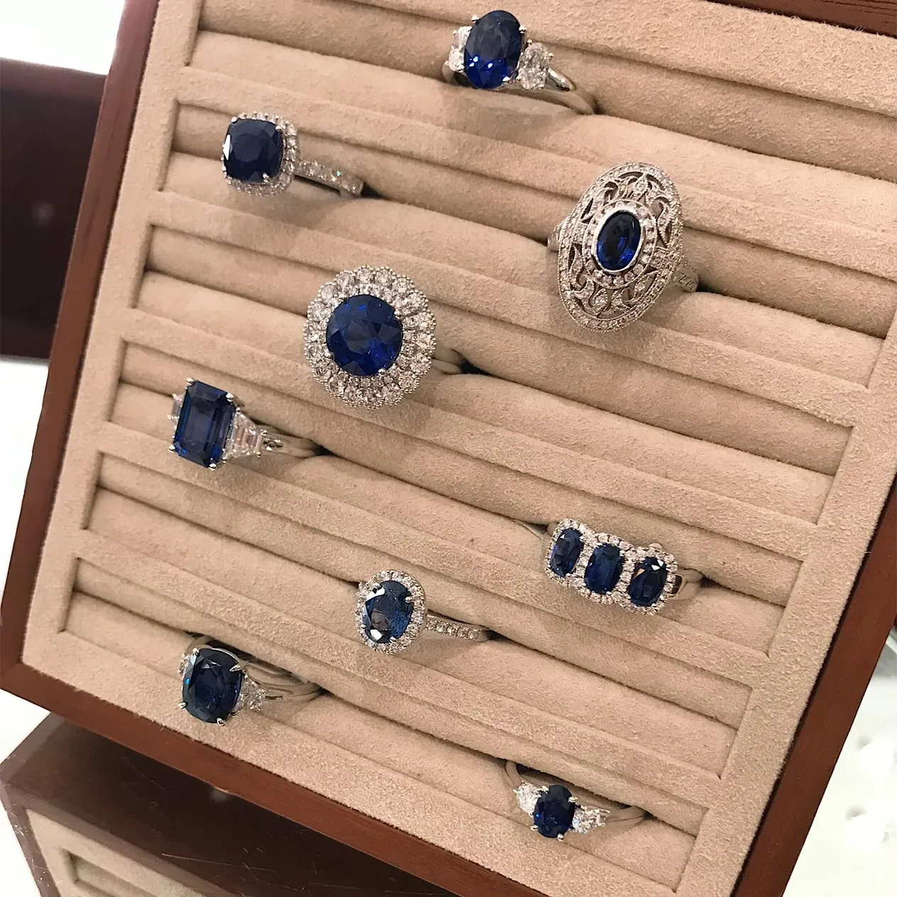 Various Sapphire rings on ring stand