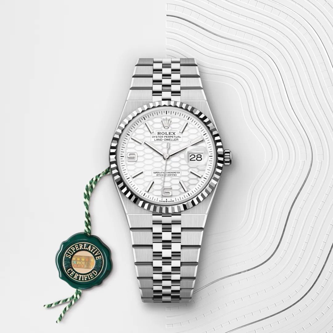 rolex Land-Dweller in White Rolesor - combination of Oystersteel and white gold, M127234-0001 - Underwood Jewelers