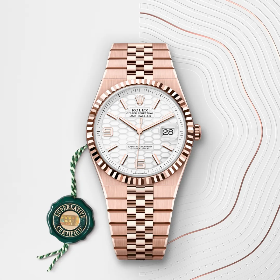 rolex Land-Dweller in 18 kt Everose gold, M127335-0001 - Underwood Jewelers