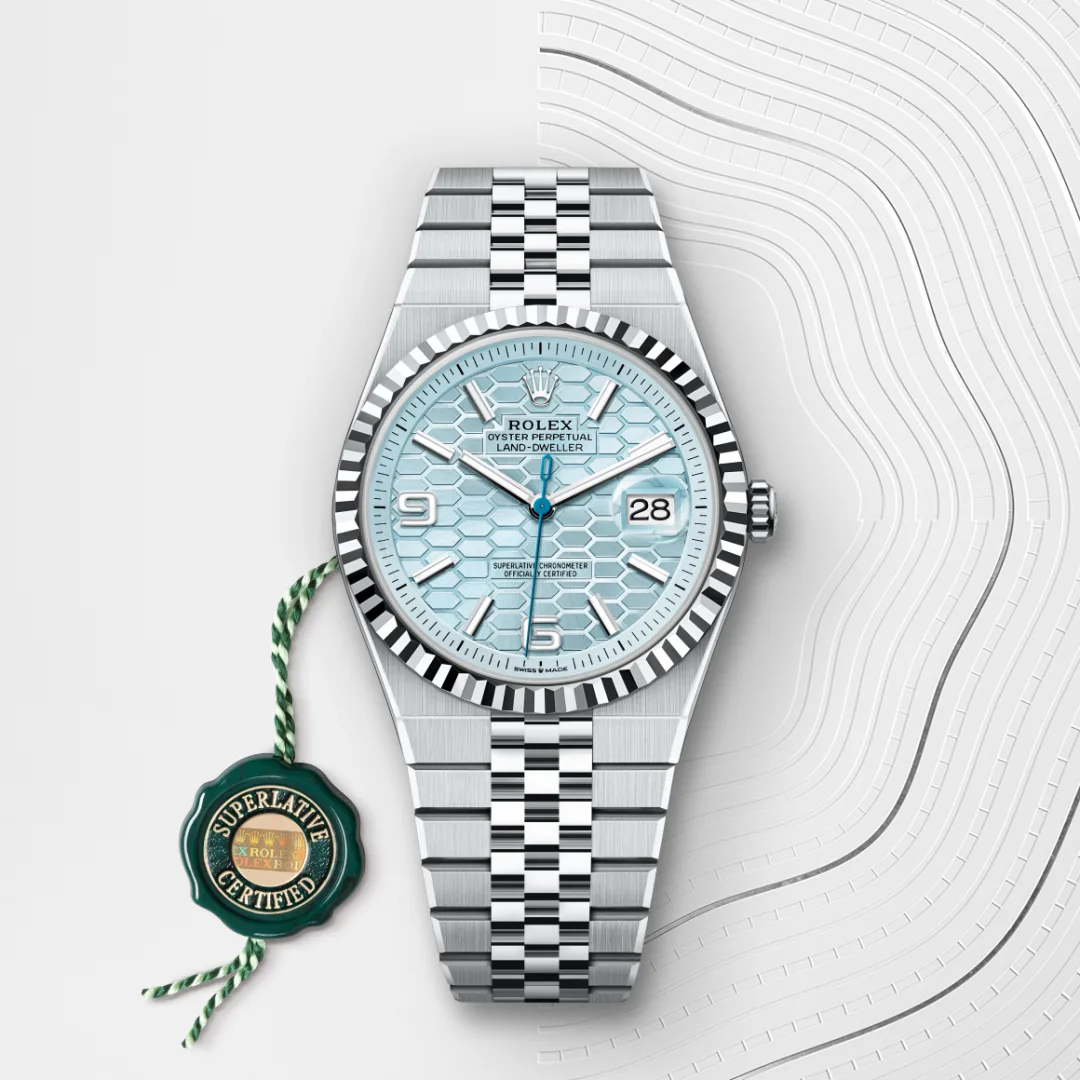 rolex Land-Dweller in Platinum, M127336-0001 - Underwood Jewelers